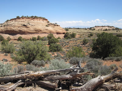 canyonland